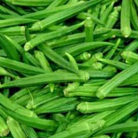 Manufacturers Exporters and Wholesale Suppliers of Fresh Lady Finger penukonda Andhra Pradesh